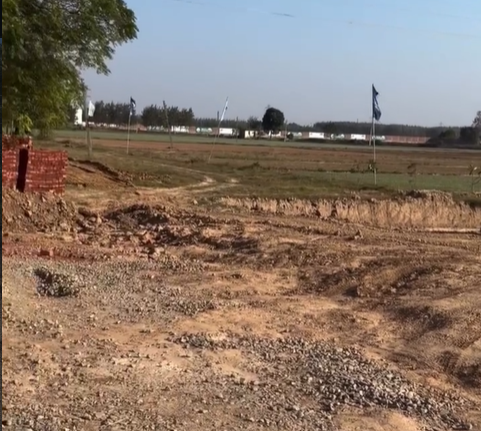 Plot View